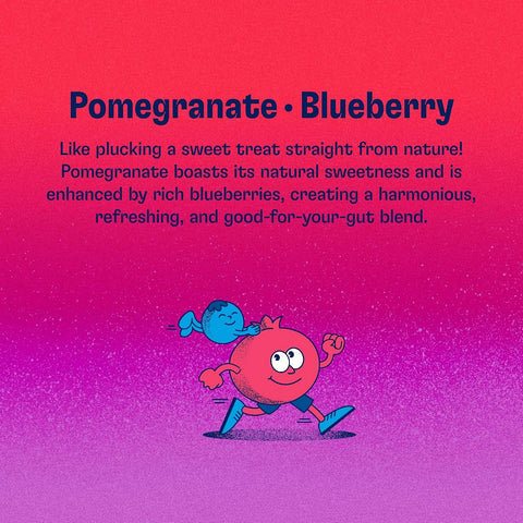 Health-Ade Kombucha Tea Organic Drink, Fermented Tea with Living Probiotics, Detoxifying Acids, Supports Gut Health, Non-GMO, Vegan, Gluten Free, 12 Pack (16 Fl Oz Bottles), Pomegranate Blueberry